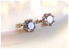 Elegant 925 Sterling Silver Stud Earrings with Cubic Zirconia